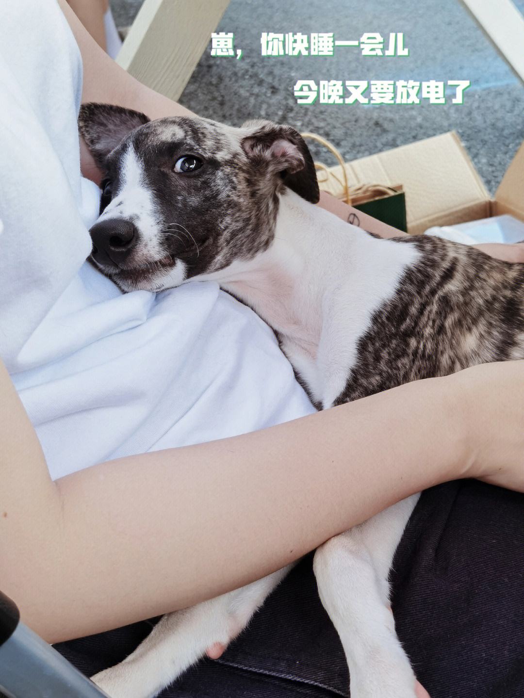 比特儿(gateio官网下载)