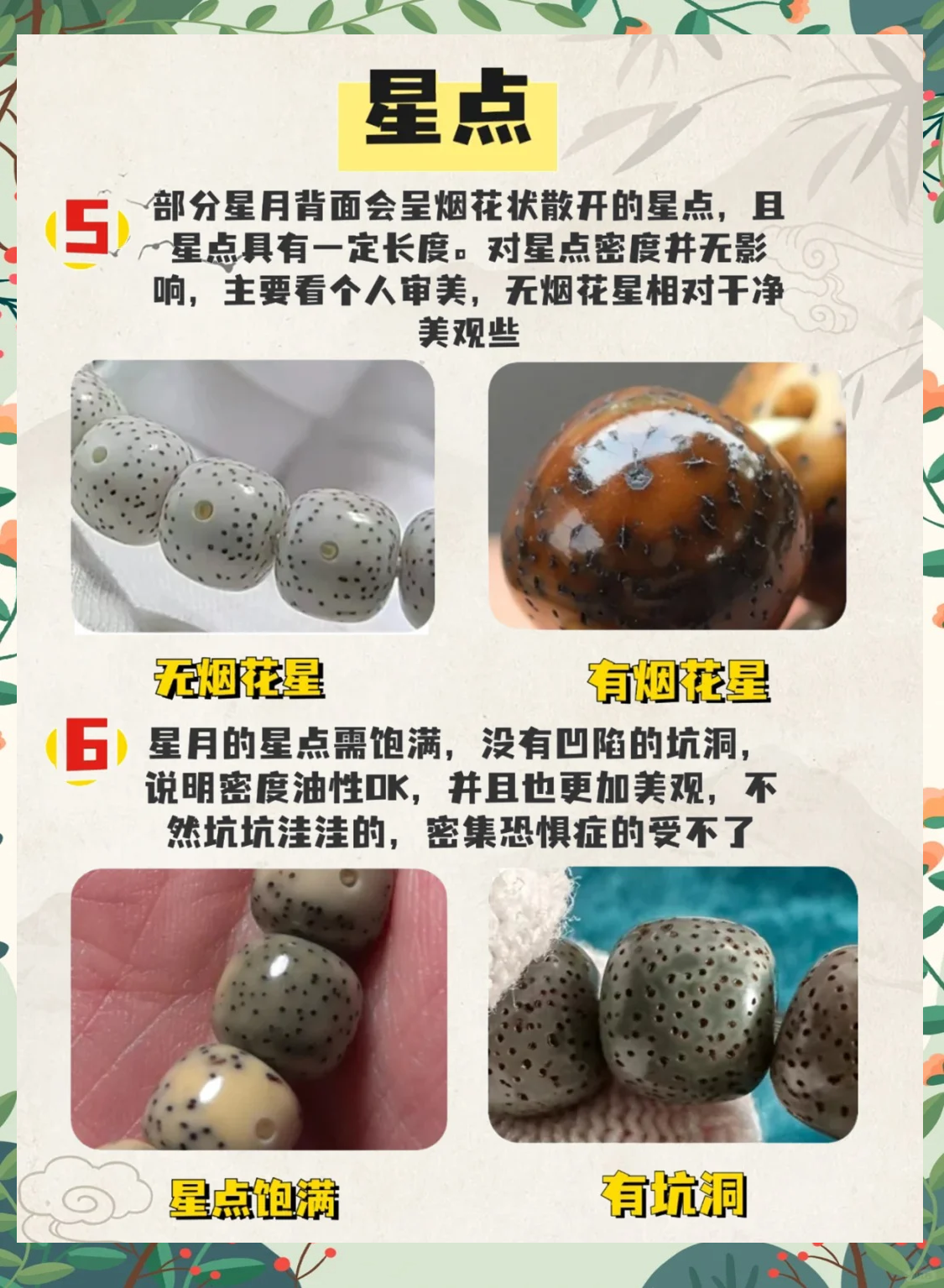 星月菩提价格多少(星月菩提价格一般多少) 星月菩提价格多少(星月菩提价格一般多少)