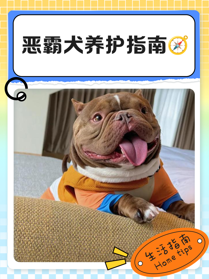 比特儿(比特儿海外版) 比特儿(比特儿海外版)